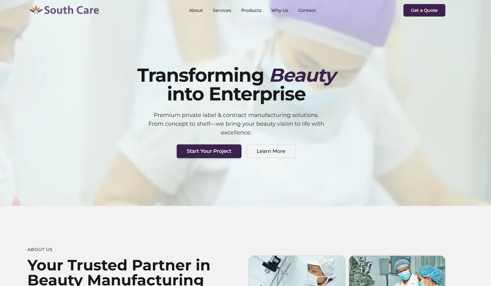 South Care website homepage showcasing beauty and enterprise solutions with buttons for starting a project or learning more.